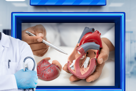 Basic Cardiology (Cardiology Principles)